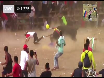 Dies from fatal bull attack