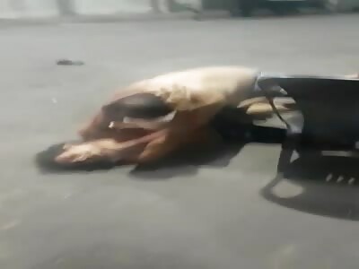 No mercy man got his head broken on concrete