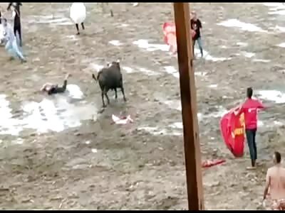 Another Bulls Revenge