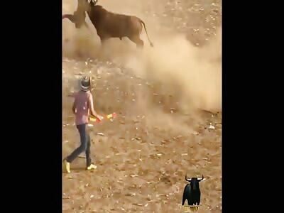 2 Fierce attacks in festival of bulls