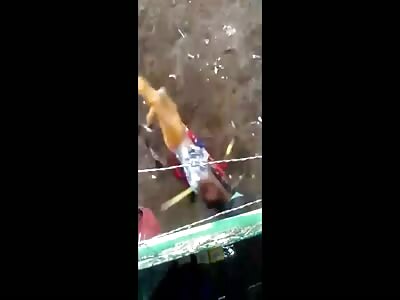 2 Killed in bull festival