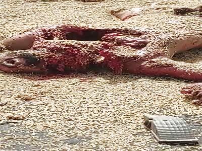 Horrible death, truck driver collides with cereal truck