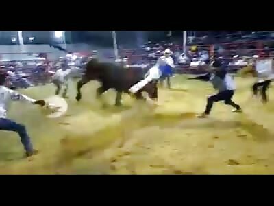 Fucking a bullfighter's life
