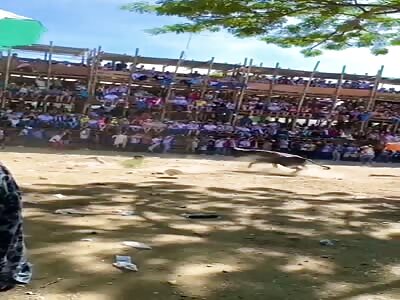 Man seriously injured at bull festival in Colombia