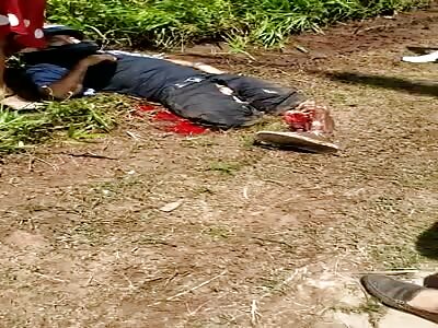 Poor man got his feathers crushed