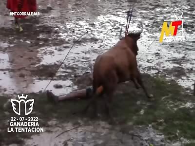 Bulls festival in venezuela, and best of all