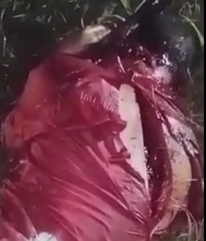 HOLY SHIT! Dude Hacked Up Like a Piece of Raw Pork