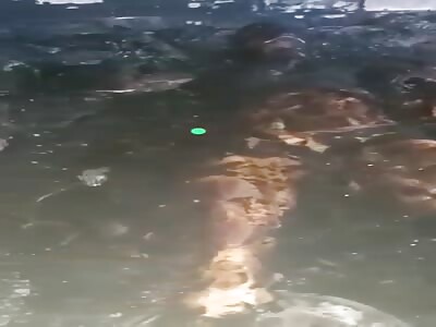 Man sets fire to his own family