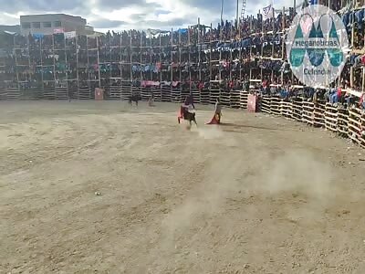 Simply fucked by a skinny bull