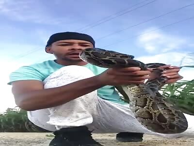Karma: Don't Use Snakes as Entertainment...