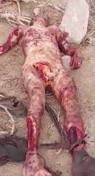  He's Still Feeding The Dogs