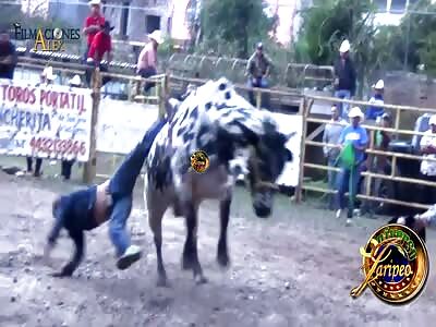 See, this bull was born to fuck a victim