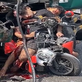 The Best Canned Sardines From China.