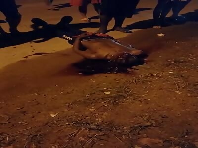 Thief was cruelly beaten