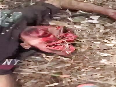 CARTEL CRUELTY IN MEXICO.