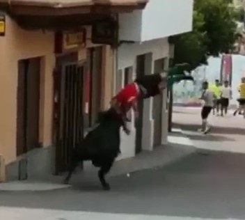 Spanish bulls giving show at races in early September