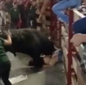 BRUTAL DEATH, bull kills naked fat man