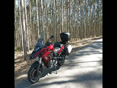 Biker friends die in fatal accident