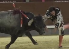 Fucking the lives of Spanish cowards