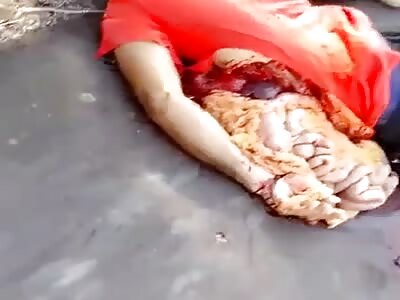 Your guts spread on the Brazilian highway