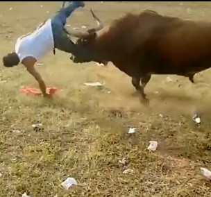Bull Festival in Colombia