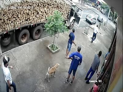 Driver gets sick behind the wheel and kills teen