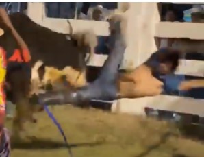 SATANIC BULL, man was totally broken in an arena