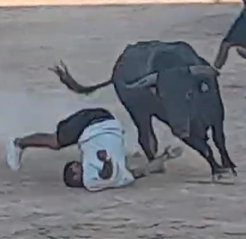 I need a neck and a new servile spine