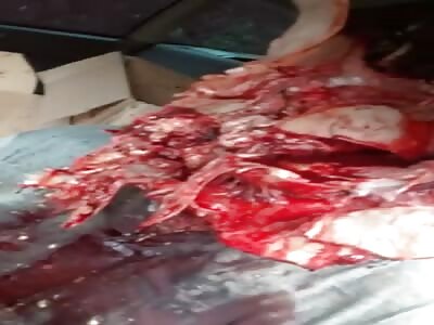 DAMN! Shotgun Took His Whole Brain Off