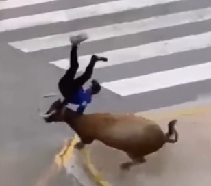 FUCKED, man was thrown headfirst to the ground