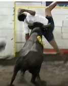 Fat man was brutally punched