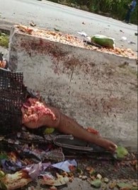 Fruits In Brazil May Kill Ya (Extended)