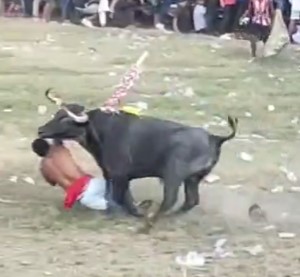 Didn't Stand a Fucking Chance