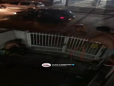 pit bull from hell, attacked its own owner