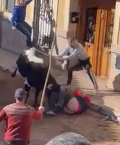 Spain, festivals of bulls striking their victims