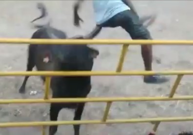 Royally Fucked Up at a Nicaraguan Rodeo (W/Aftermath)