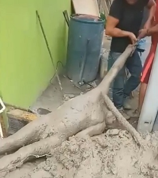 Landslides Kill at Least 15 People In Southern Peru