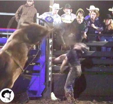 Cowboy brutally fucked by American bull