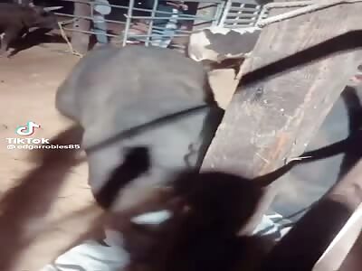 Take that motherfucker