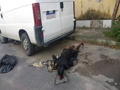 woman turned barbecue