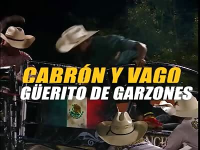 bullfighter trampled in mexico