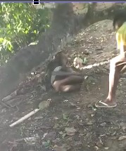 thief went to steal bomb from tree