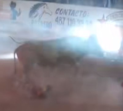 Go to hell cowboy, man trampled to death by hideous bull