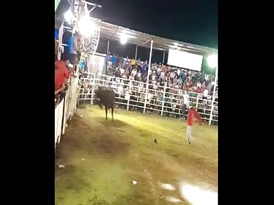 Bull of hell, knocked out, stomped and crushed his victim