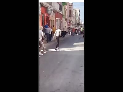 victims broken by cow attacks in contests in Spain