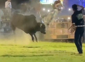 Damn mexican idiot was played with baseball