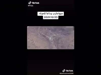 Defeating the terrorist Houthi militia in Yemen