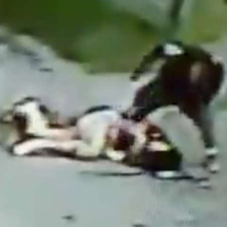 Man Chases And Stabs His Wife Multiple Times In Costa Rica