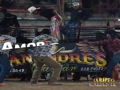 Rider is fucked by bull in Mexico