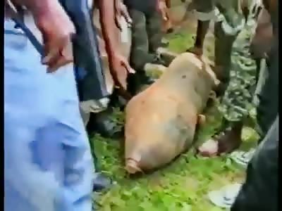 Victime of Nigerian Bombing in Sierra leone 